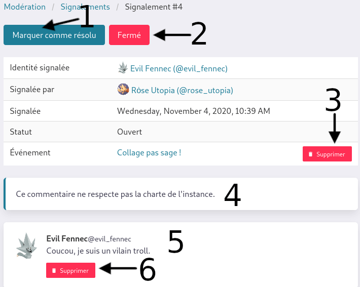 vue d'un signalement de commentaire