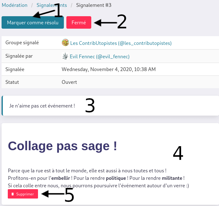image d'un signalement annoté