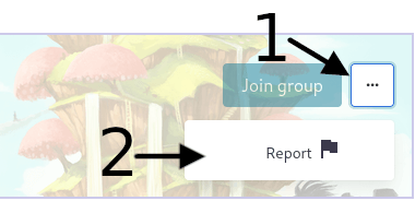 report group image