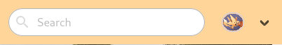 img top bar search